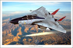 "Felix 101" Mark Karvon F-14 Tomcat Giclee Print